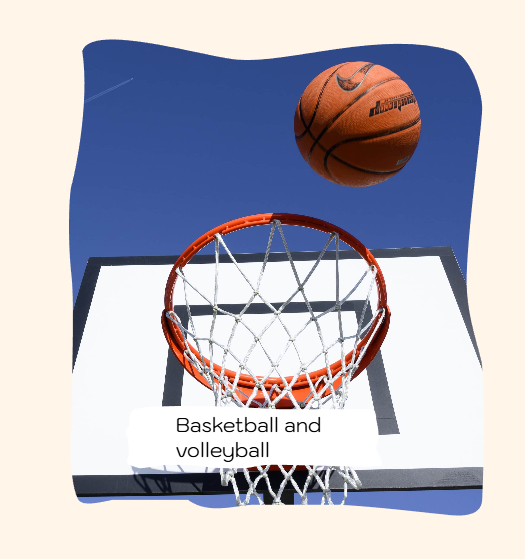 Basketball