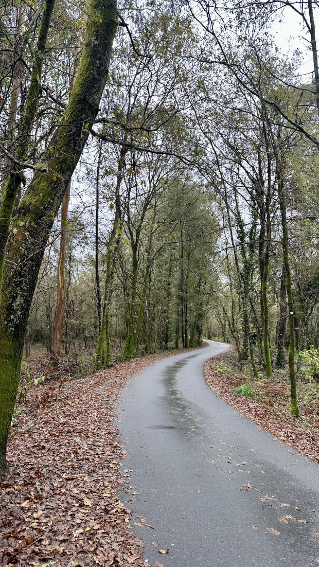 Small circle in Lagoas Nature Reserve