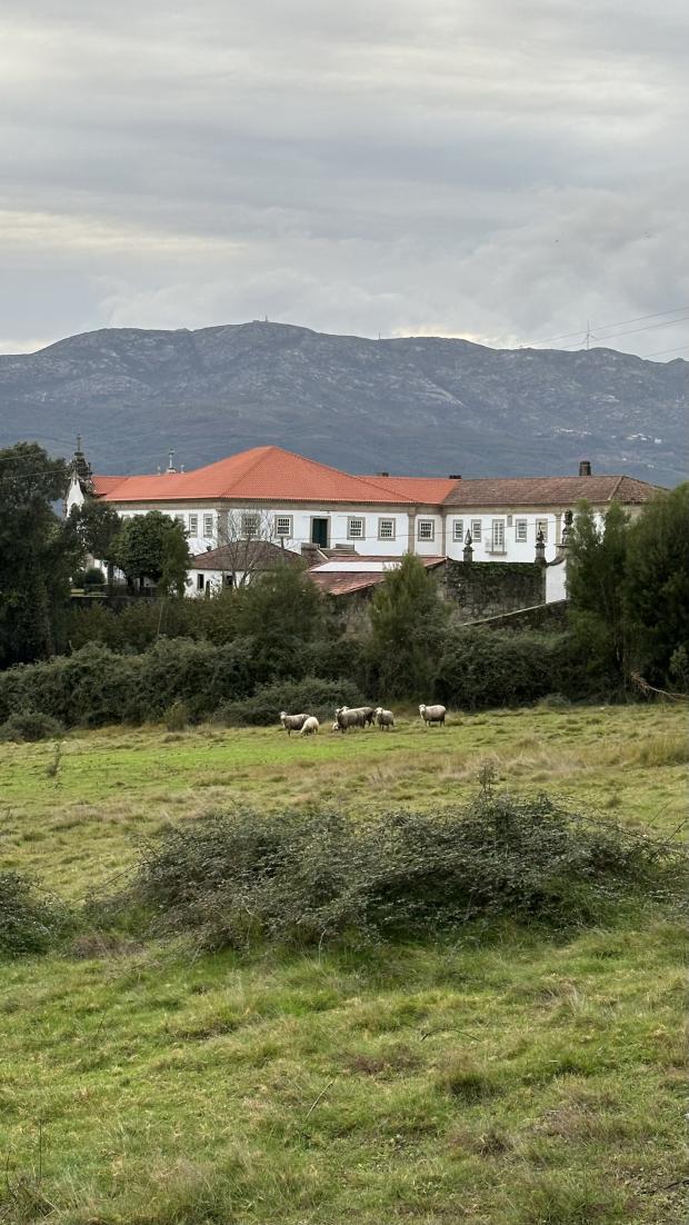 Circuit Moreira do Lima Village Stroll