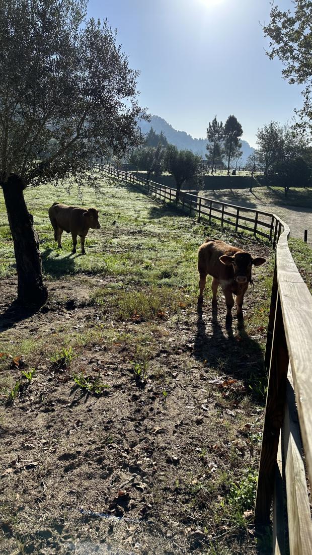 Walk around the Quinta